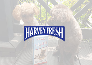 harvey-fresh
